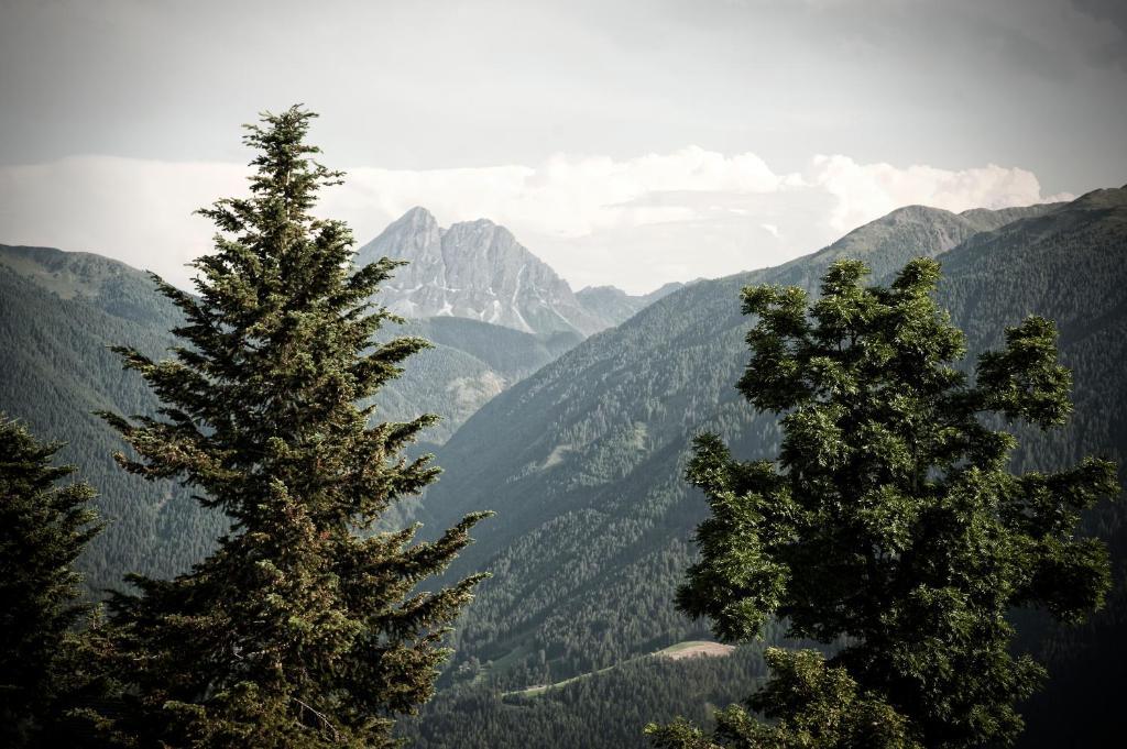 Herol - My Mountain Retreat Luson Dış mekan fotoğraf